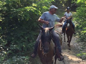Passeggiate a Cavallo da Golasecca a Varallo Pombia