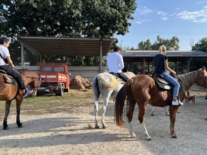 Domenica a cavallo